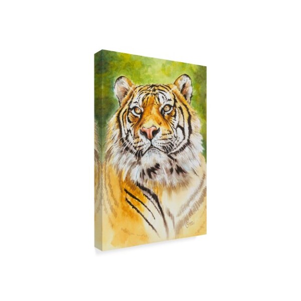 Barbara Keith 'Sumatran Tiger' Canvas Art,30x47